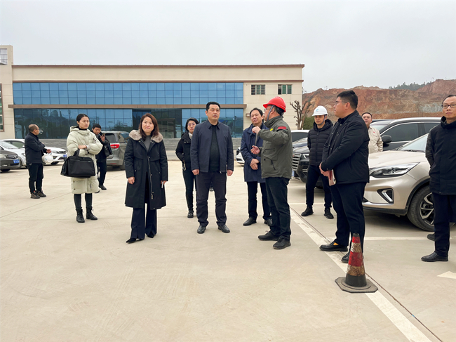 江西省項目辦領導調(diào)研公司宜黃縣生物質(zhì)熱電聯(lián)產(chǎn)項目-附圖1.jpg